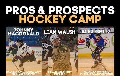Pro Mentor Me — Pros & Prospects