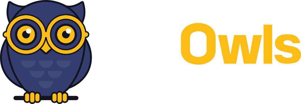 Lit Owls Studios
