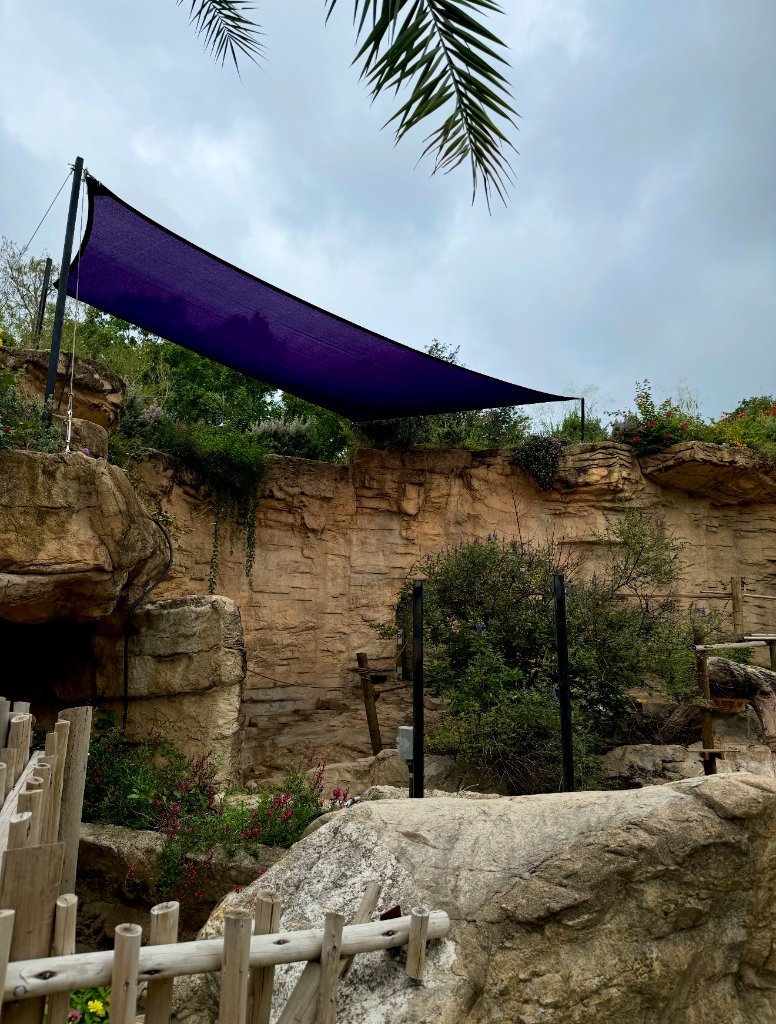 San Antonio Zoo – Lemur Exhibit Shade