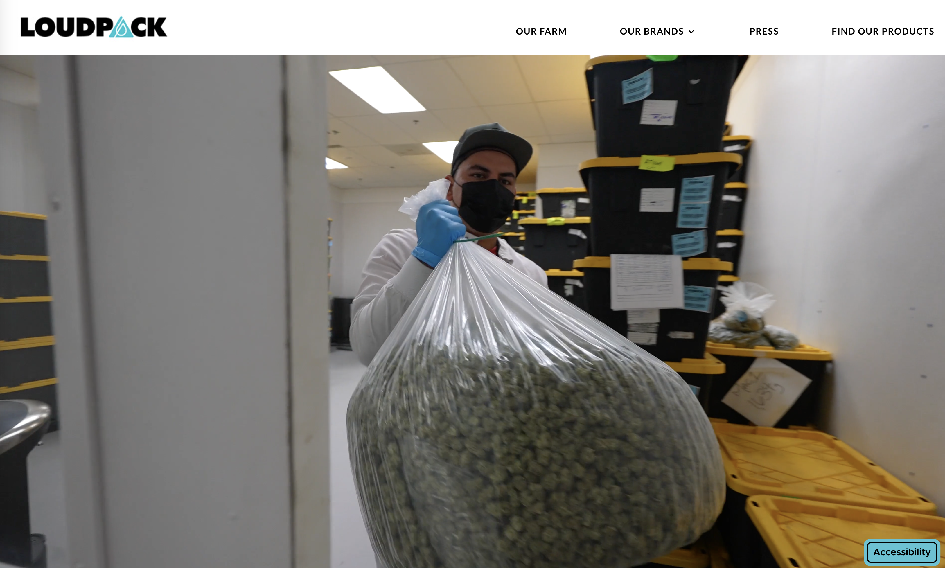 Cannabis website example supporting broader digital marketing strategy