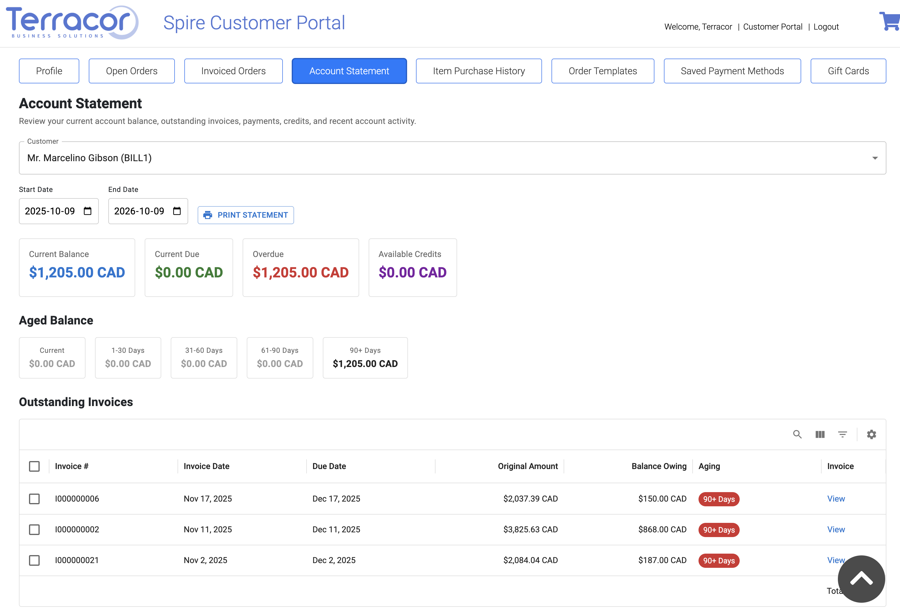 Customer account statement view showing balances, credits, aging and outstanding invoices.