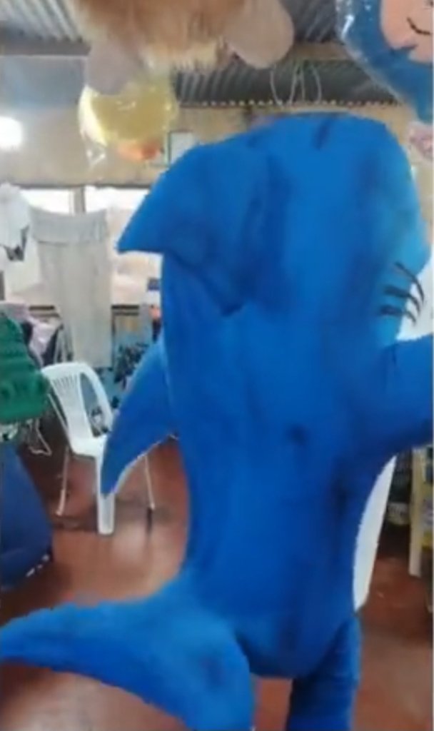 Bubba mascot 3