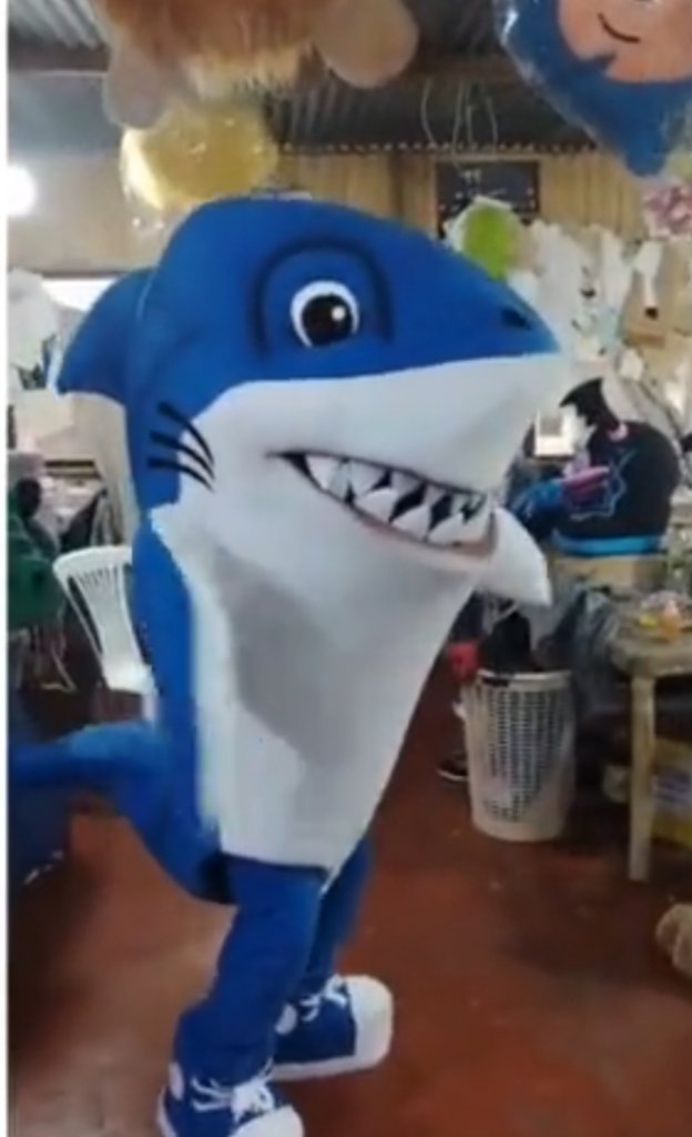 Bubba mascot 2