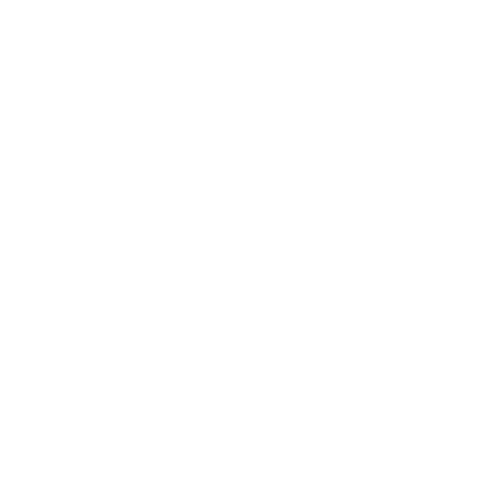 Wize Logo