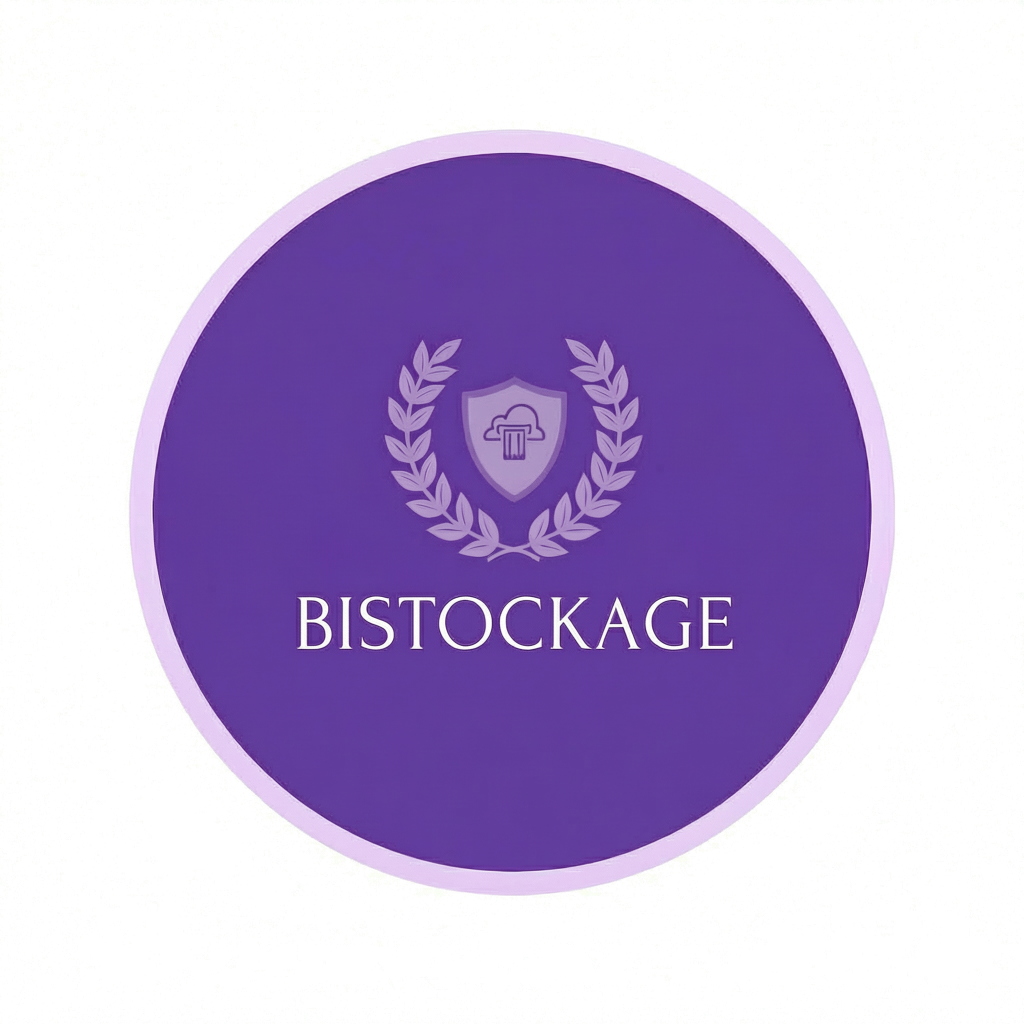 BiStockage Logo