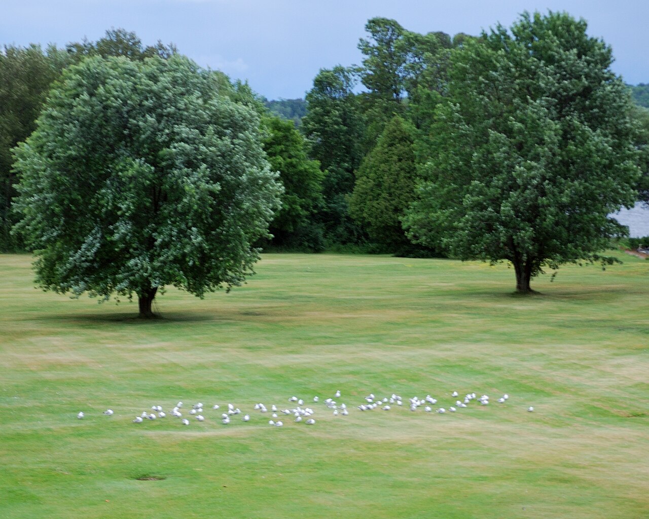 Canada: Wildfire Golf Club to host Ontario Men’s Amateur in 2028 and Junior Girls’ Amateur in 2030