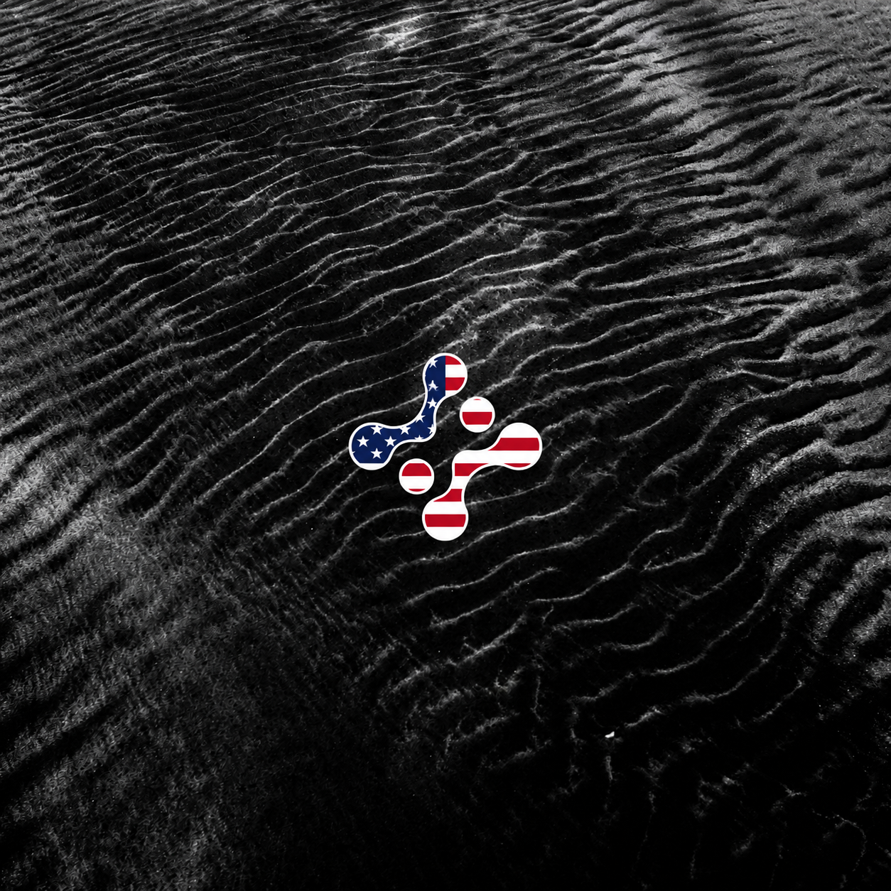 Ryniant logo in American flag colors over dark sand ripples