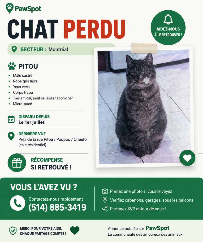 Pitou
