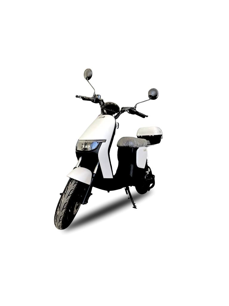 Rapid