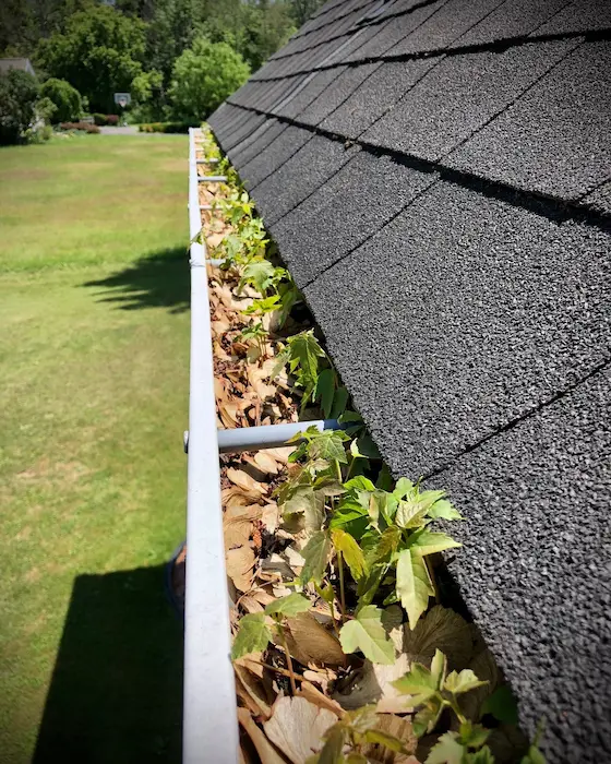 Gutter Cleaning