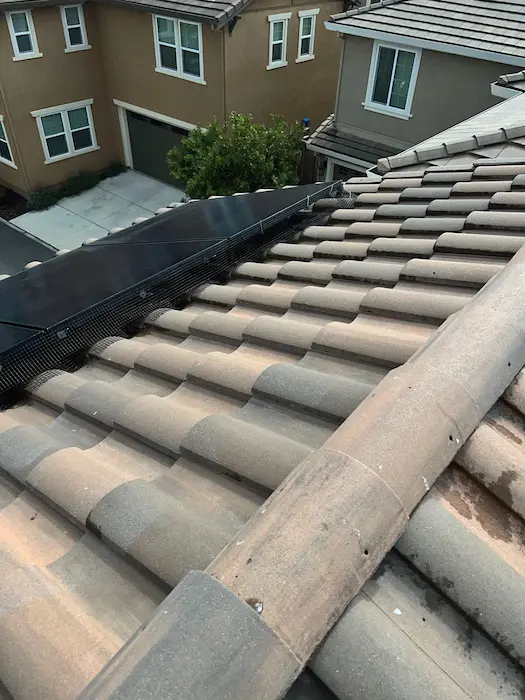 Roof & Soft Washing