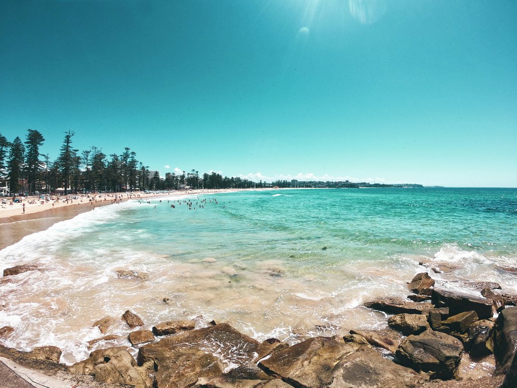 Manly Beach with Norfolk Pines lining the esplanade