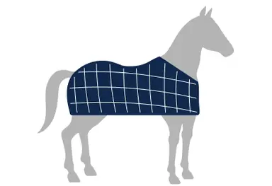 List a rug