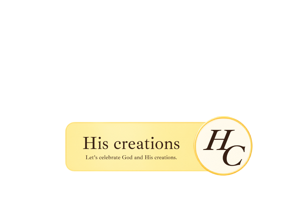 His creations logo