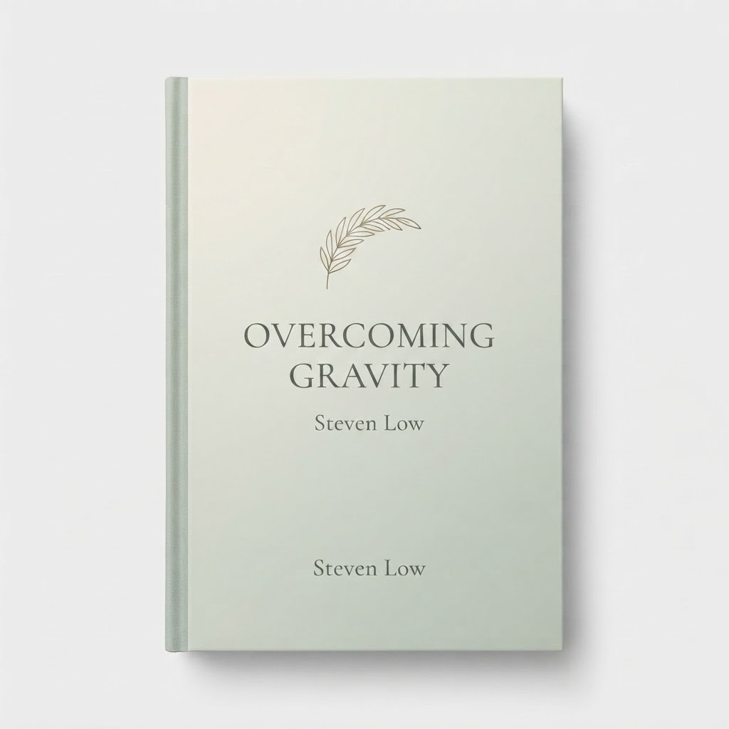 Overcoming Gravity