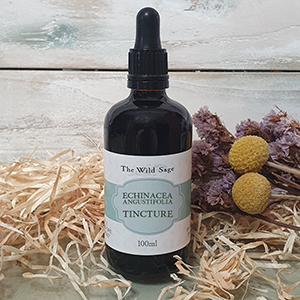 Echinacea angustifolia tincture for immune support
