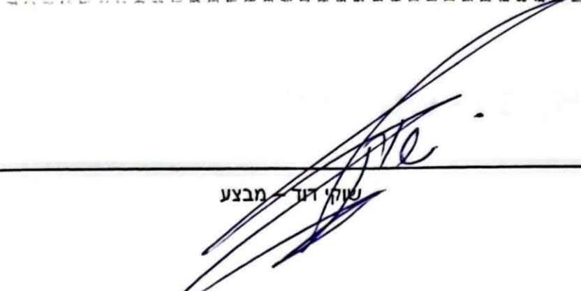 חתימת שוקי דוד
