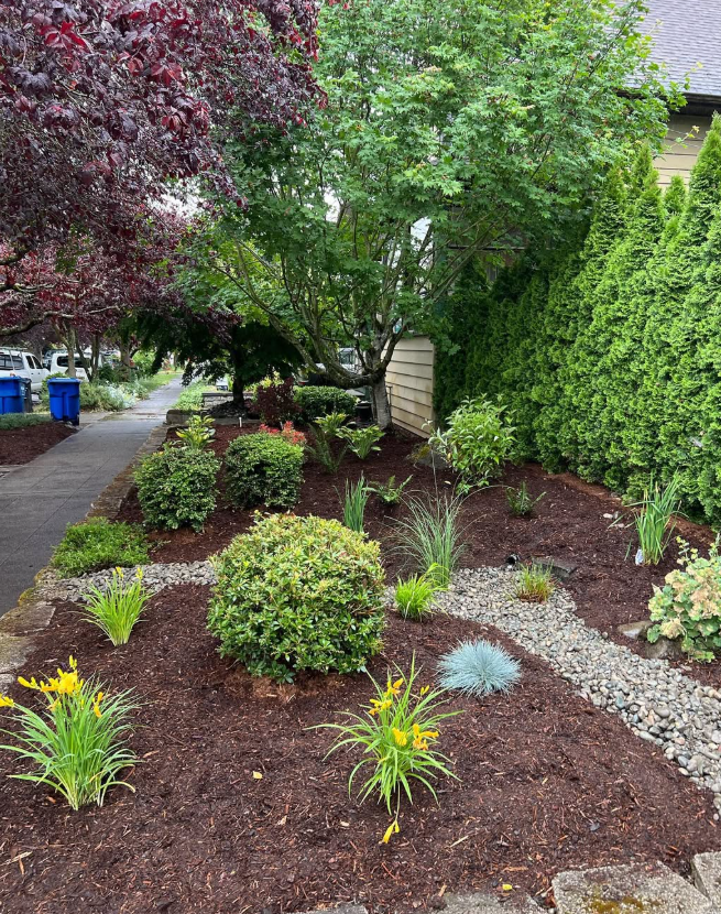 Tree & Plant Care