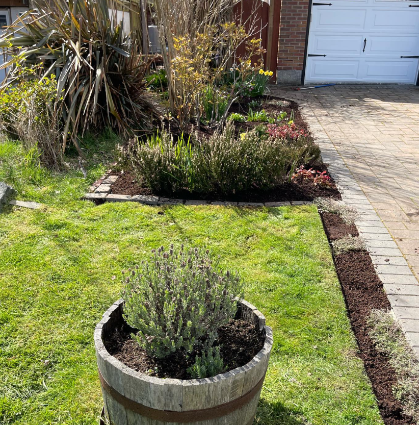 Lawn & Garden