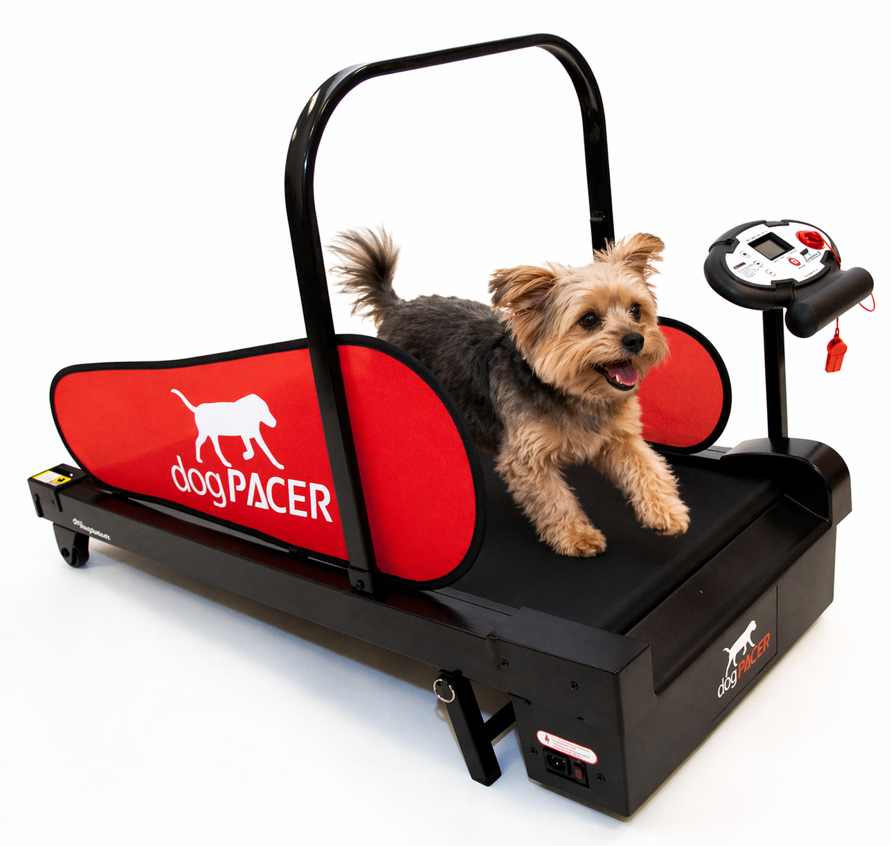 הליכון dogPACER Minipacer עם כלב קוקר ספנייל חמוד - מתאים לכלבים קטנים ובינוניים עד 25 קילוגרם