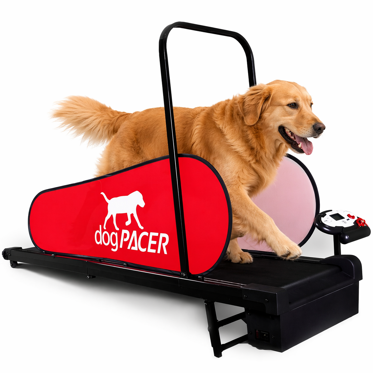 הליכון dogPACER LF 3.1 - מתאים לכלבים גדולים עד 80 קילוגרם