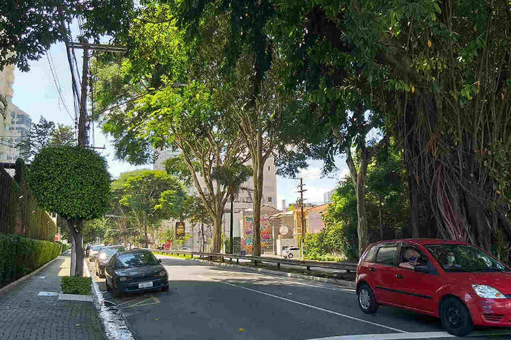 Rua arborizada da Vila Mariana São Paulo - bairro residencial arborizado