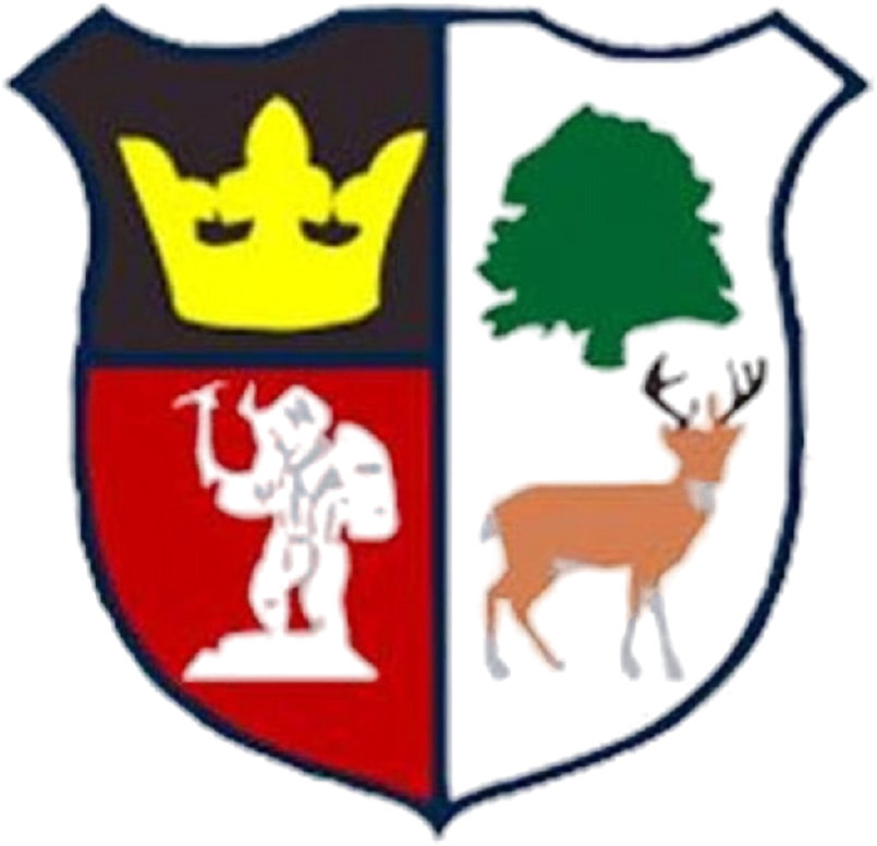 Cinderford Town crest