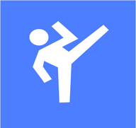 Aura Sports logo