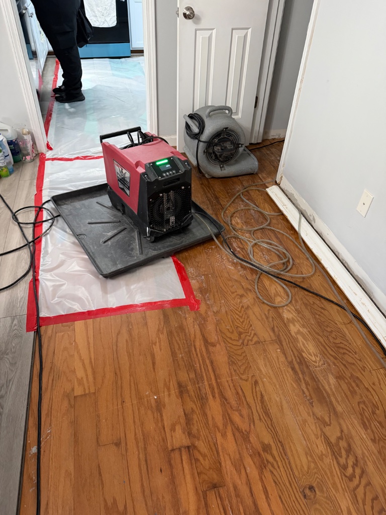 Dehumidifier and air mover setup — structural drying in progress