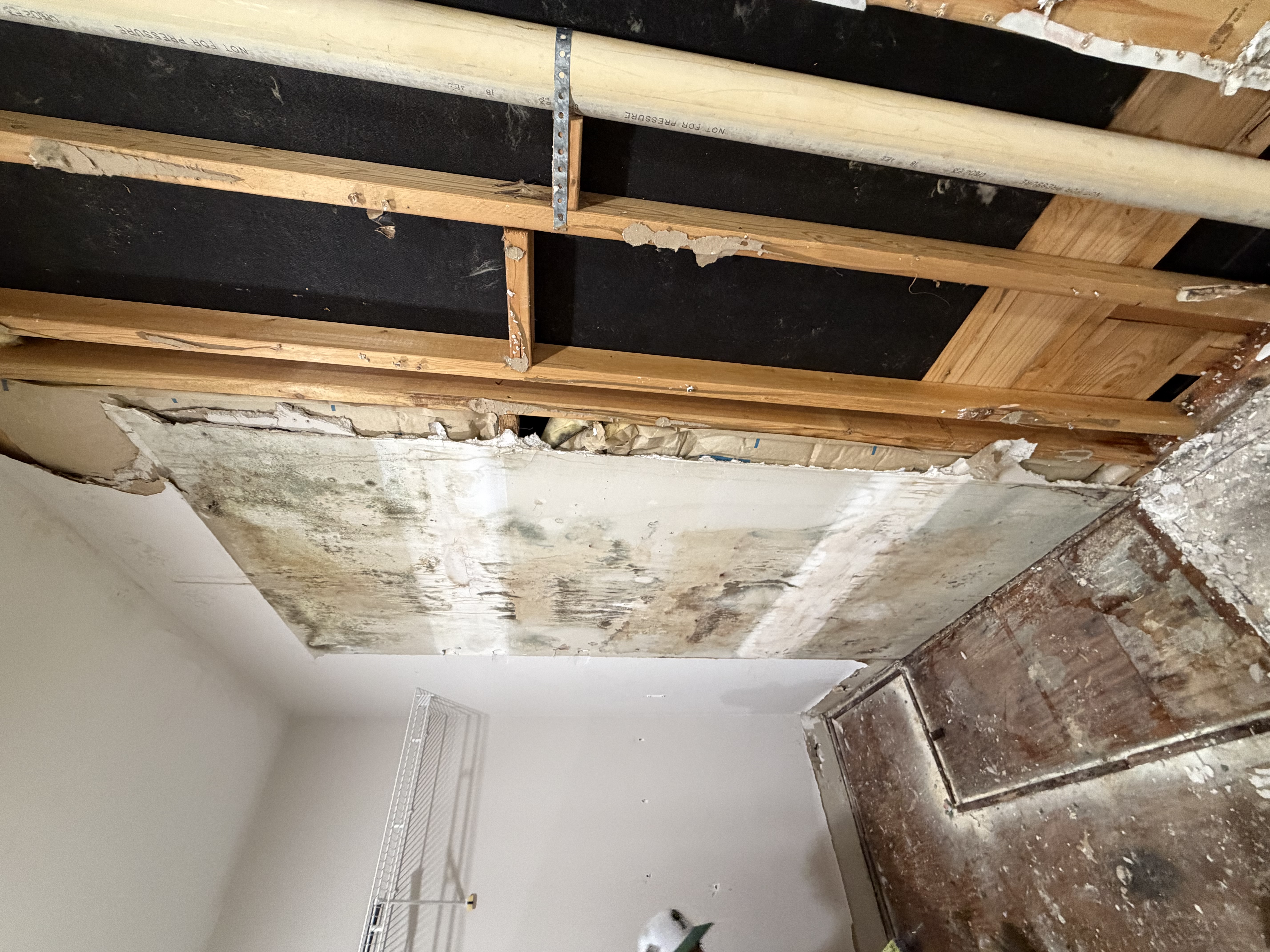 Water damage prep and mitigation