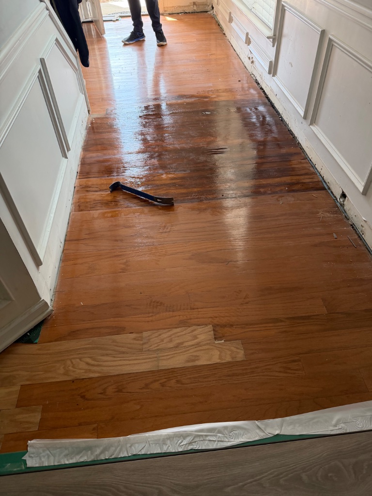 Water-damaged hardwood floor — moisture saturation throughout