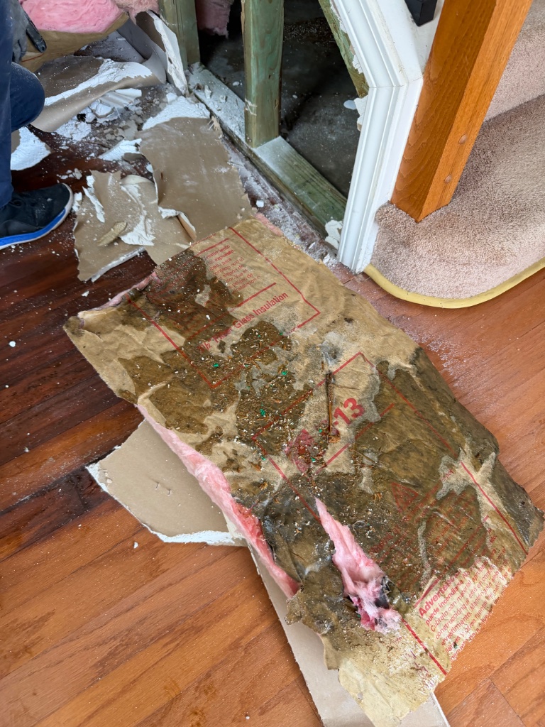 Water-damaged insulation removal — mold prevention after leak