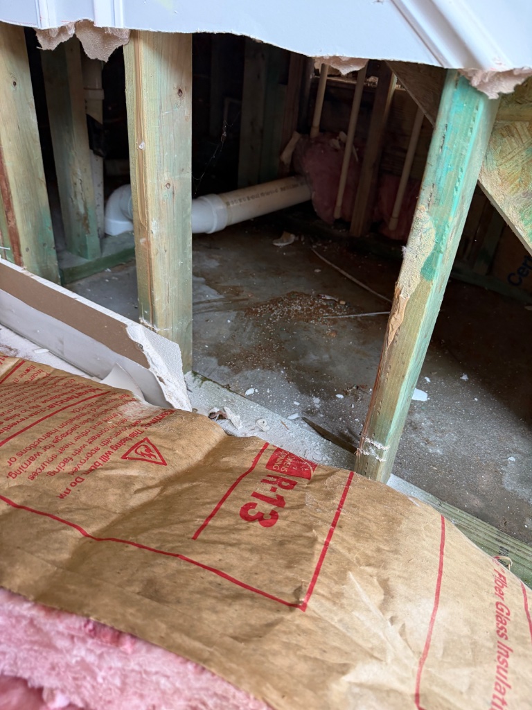Structural damage exposed — subfloor and insulation removal after flooding