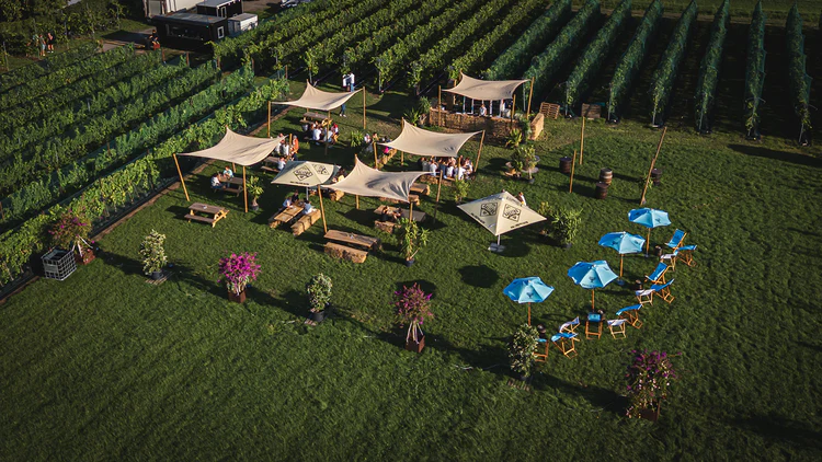 Wijnbar Loewi - drone uitzicht met terras en wijngaarden