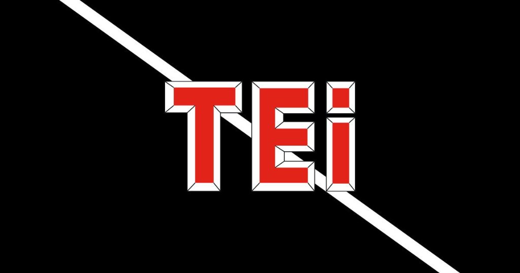 TEi Services