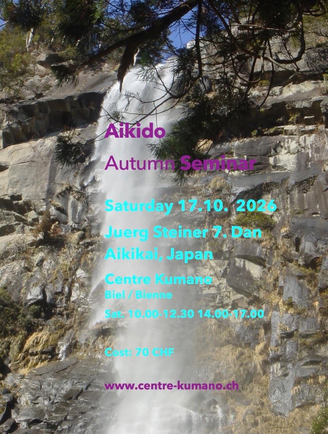 Aikido Autumn Seminar — Biel