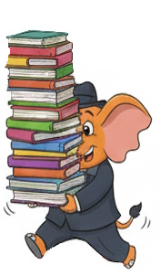 Flashcards