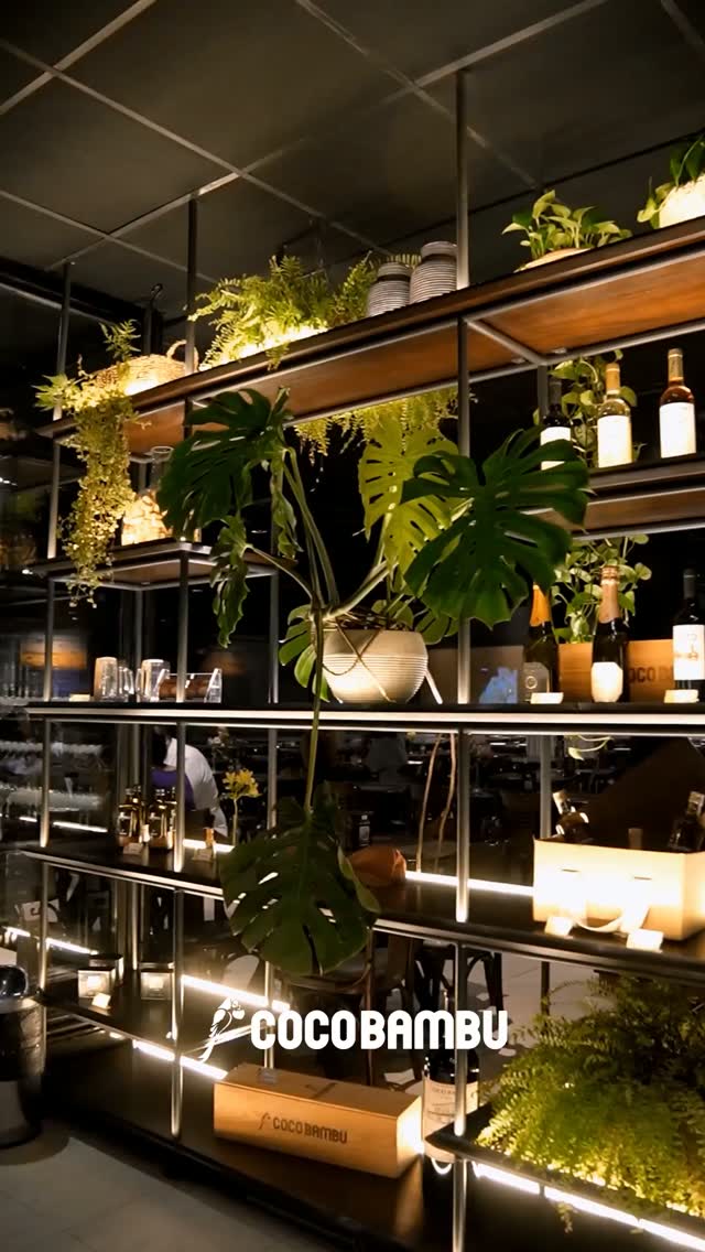 Coco Bambu