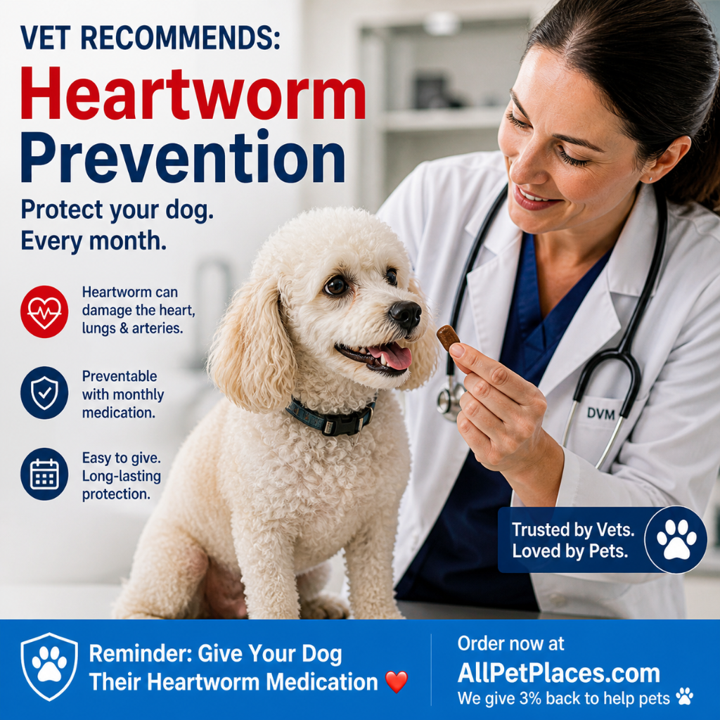 National Pet Week 2026: 7 Things Every Pet Owner Should Do This Week