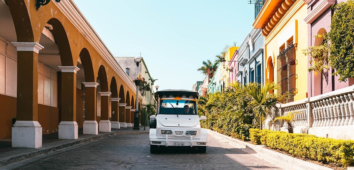 Explora el Centro Histórico con su hermoso estilo colonial y sus pintorescas casas