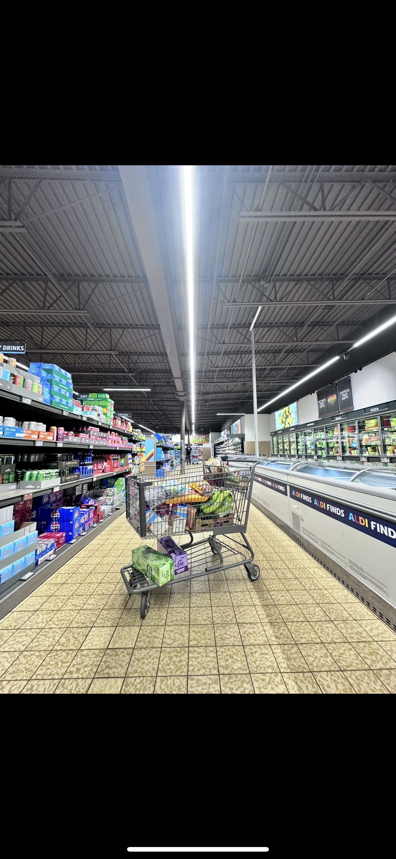 Grocery shopping at ALDI in Rice Lake, Wisconsin