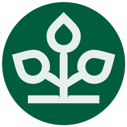 AOK AOK Logo
