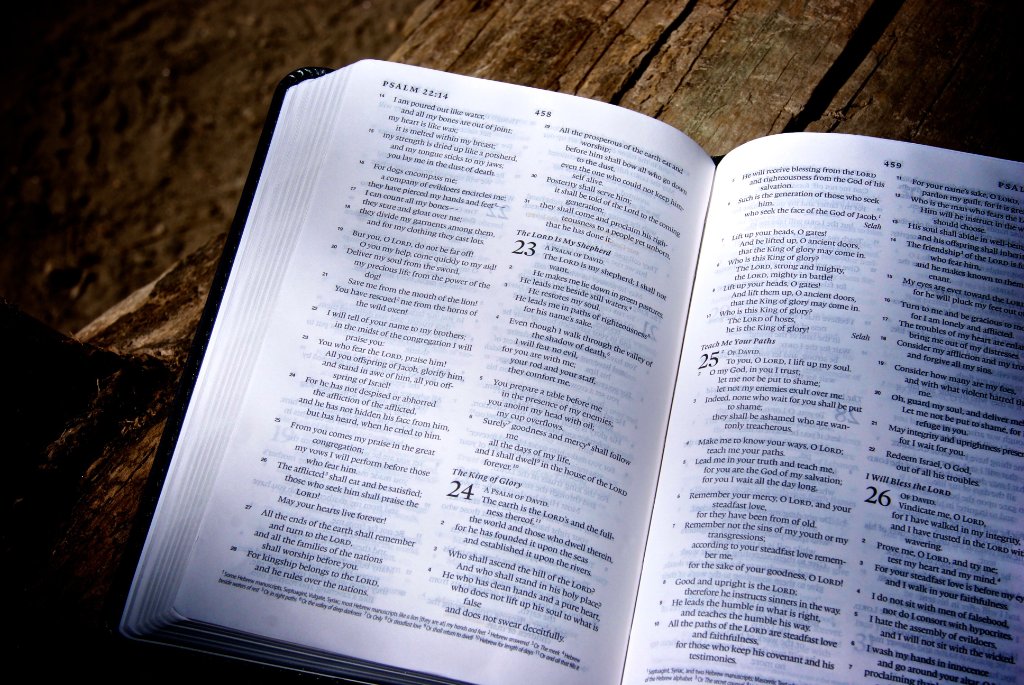 How to Study the Bible