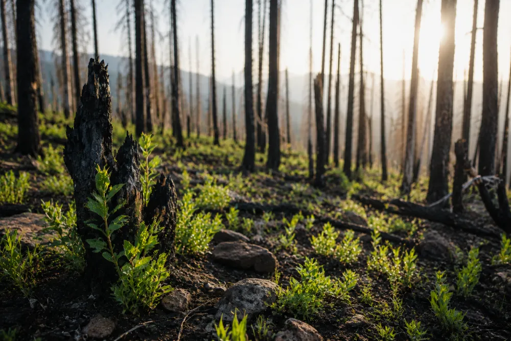 What Science Actually Says About the Benefits of Retreats
