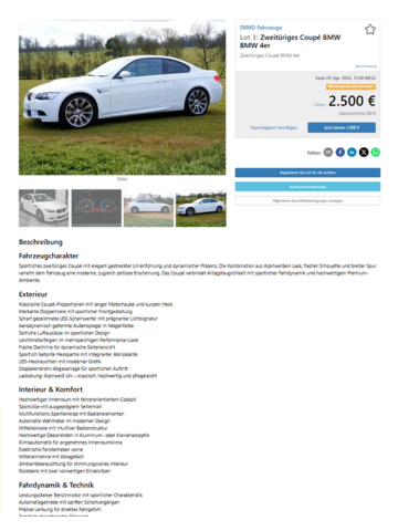 Detailed Auction Page