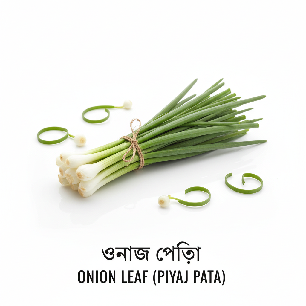 পিয়াজ পাতা