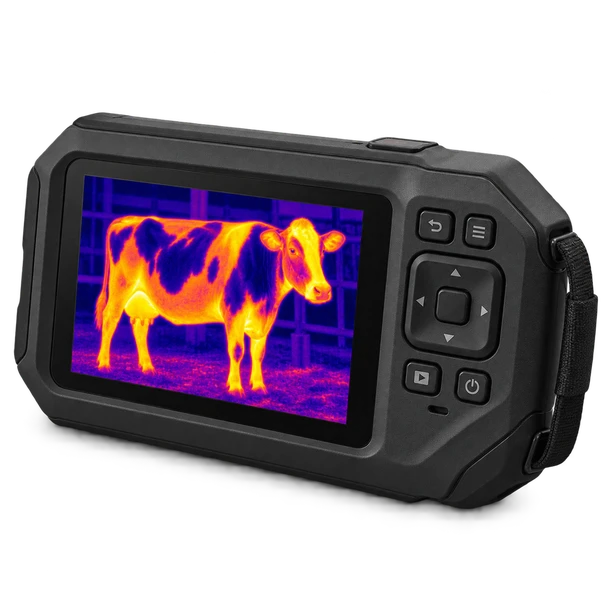 FLIR C8 handheld thermal imaging camera showing a cow