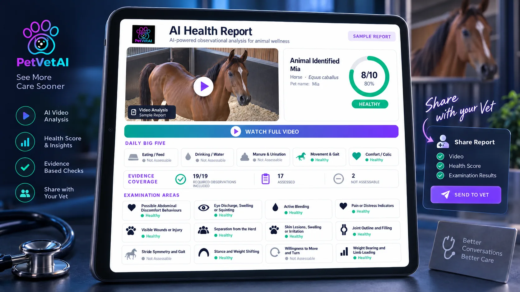 Sample PetVetAI color-coded horse health report for fictional horse Mia.