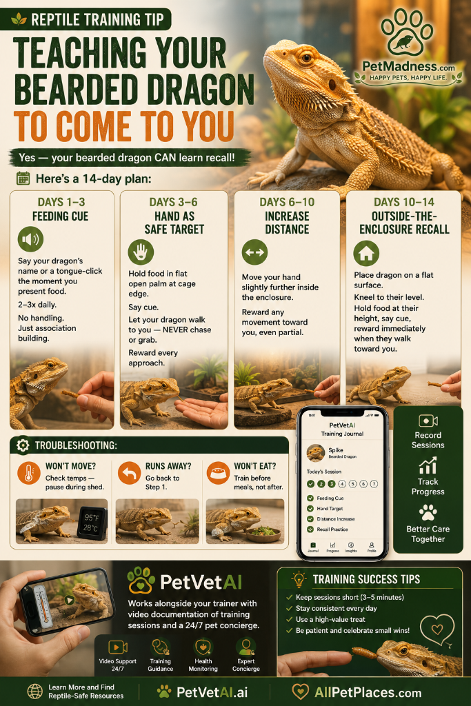 PetPulse Daily