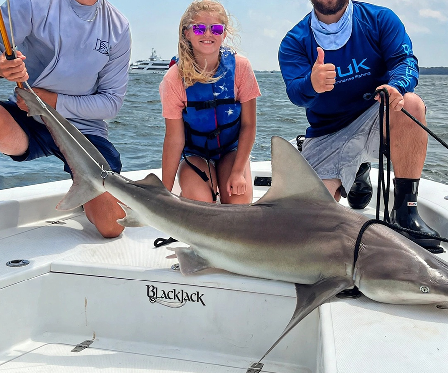 Shark Fishing